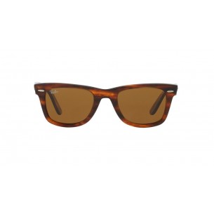 Ulleres de Sol unisex Ray...
