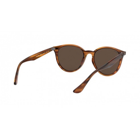 Ulleres de Sol unisex Ray Ban RB4305 820/73 HAVANA