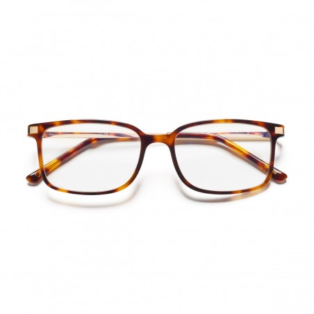 Glasses Lunettier Pascal Havana