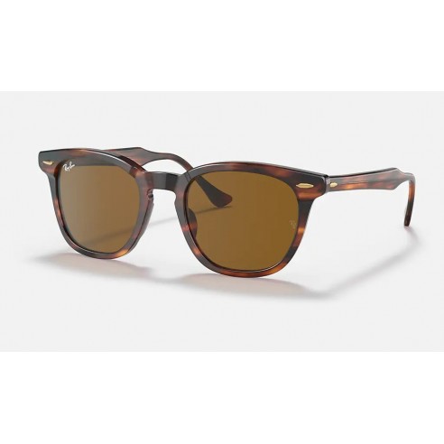 Sunglasses Ray-Ban RB2298 954/33 HAVANA BROWN 50