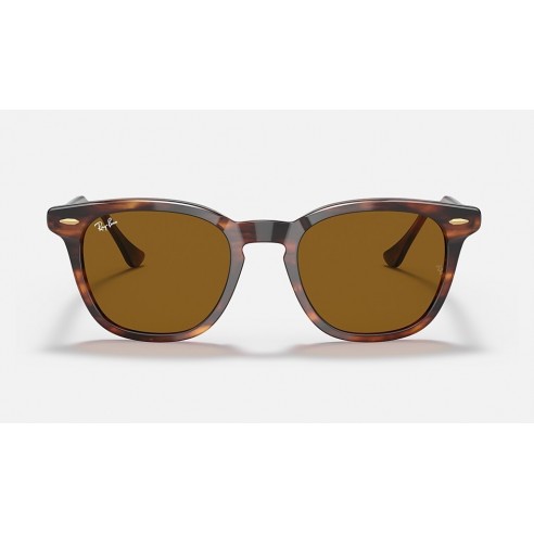 Sunglasses Ray-Ban RB2298 954/33 HAVANA BROWN 50
