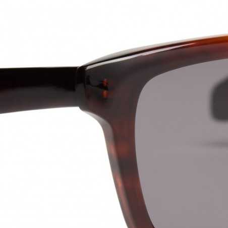 Gafas de sol Hombre Cottet Barcelona Ganduxer 933 Havana Grey 52