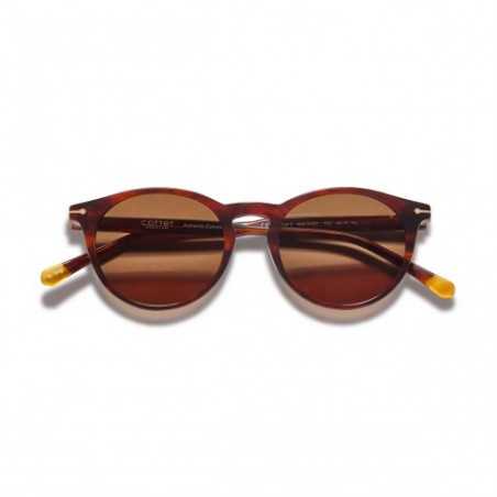 Gafas de sol Hombre Cottet Barcelona Gary 933 Havana Brown 48