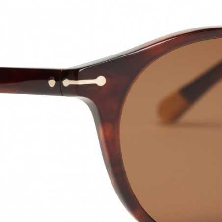 Gafas de sol Hombre Cottet Barcelona Gary 933 Havana Brown 48