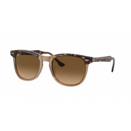 Ulleres de sol Ray-Ban - RB2398 1292M2 ORO MARRON POL. 56