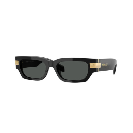Gafas de Sol Versace VE4465 GB1/87 NEGRO GREY 53
