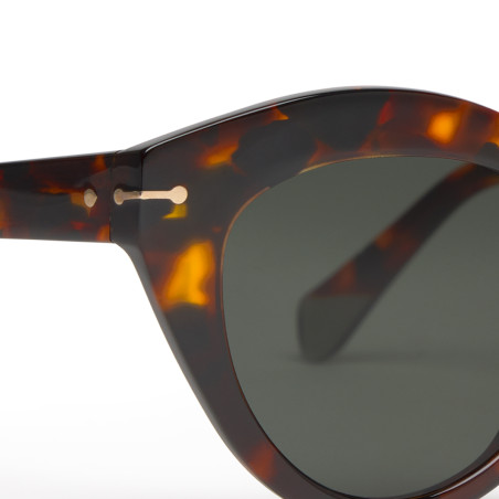 Ulleres de sol Cottet Barcelona - La Rambla 920 Animal Green