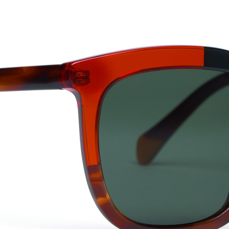 Gafas de sol Cottet Barcelona Manso 940 Havana Veined Green